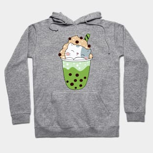 cute cat sleeping on ice cream Hoodie